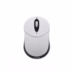 T'nB SRSCBK souris