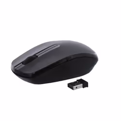 T'nB MS2UW souris
