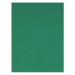 T'nB Fond vert - INFLUENCE