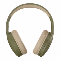 T'nB CBTONEGN Olive