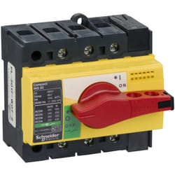 Schneider Electric - interrupteursectionneur Interpact INS40 3P 40 a schneider 28916