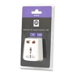 Adaptateur multi pays - D2DIFFUSION - USB 1A - Blanc - Intérieur - Voyage