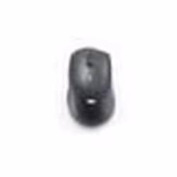 Souris sans-fil - WE - Modèle WE - Bluetooth V5.3 - 2.4GHz - DPI 1600