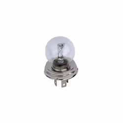 Ampoule CE 12V - 40/45W TURBOCAR au Prix TTC de 4.8 euros. Les ampoules CE sont des ampoules utilisées sur certains phares av ...