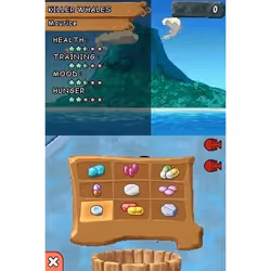 Ubisoft Abenteuer auf der Delfininsel Allemand Nintendo DS