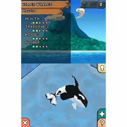 Ubisoft Abenteuer auf der Delfininsel Allemand Nintendo DS