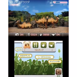 Ubisoft Zoo Resort 3D Standard Nintendo 3DS