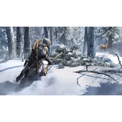 Ubisoft Assassin's Creed III Standard Allemand, Anglais, Espagnol, Français, Italien Wii U - Vue supplémentaire 4