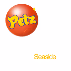 Ubisoft PETZ à la Mer Standard Nintendo 3DS