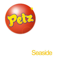 Ubisoft PETZ à la Mer Standard Nintendo 3DS
