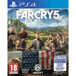 Ubisoft Far Cry 5 Standard PlayStation 4