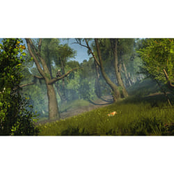 Ubisoft Assassin's Creed Rogue HD