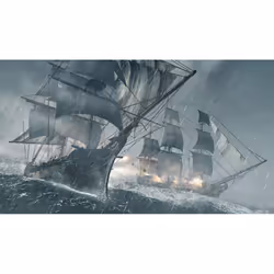 Ubisoft Assassin's Creed IV: Black Flag Standard Anglais PlayStation 4 - Vue supplémentaire 5