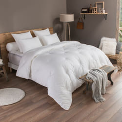 DODO - Couette Extra Douce - Confort Hotel TEMPEREE - 140 x 200 cm