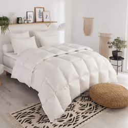 DODO - Couette duvet Tradition TEMPEREE - 70% Duvet dOie - 220 x 240 cm