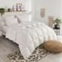 DODO - Couette duvet Tradition TEMPEREE - 70% Duvet dOie - 240 x 260 cm