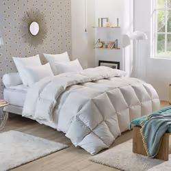 DODO - Couette Tradition CHAUDE - 50% Duvet de Canard - 220 x 240 cm