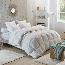 DODO - Couette Tradition CHAUDE - 50% Duvet de Canard - 220 x 240 cm