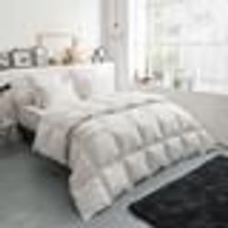 DODO - Couette Thermoduv TEMPEREE - 70% Duvet dOie - 240 x 260 cm