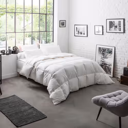DODO - Couette 70% Duvet de Canard neuf Chaude - 220 x 240 cm