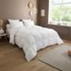 DODO - Couette 90% Duvet de Canard neuf Tempérée - 140 x 200 cm