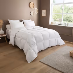 DODO - Couette 90% Duvet de Canard neuf Tempérée - 220 x 240 cm