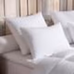 DODO - Oreiller 90% Duvet dOie MEDIUM - 40 x 60 cm
