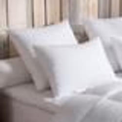 DODO - Oreiller 90% Duvet dOie MEDIUM - 40 x 60 cm