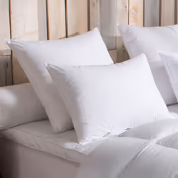 DODO - Oreiller 90% Duvet dOie MEDIUM - 50 x 70 cm