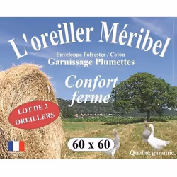 DODO Lot de 2 Oreillers MERIBEL Plumettes 60x60cm