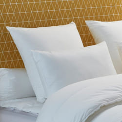 DODO - Oreiller Thermorégulateur Climarelle® MEDIUM - 65 x 65 cm