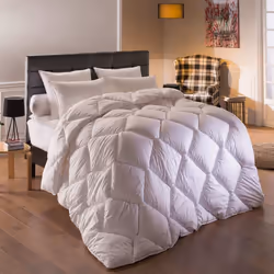 DODO - Couette Chaude Suite Royale - 240 x 260 cm
