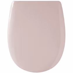 Découvrez cet abattant WC uni à la finition brillante. Son mécanisme de descente manuelle et sa conception déclipsable assure ...