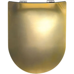 Abattant Double Déclipsable À L'allure Précieuse