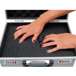 Informations techniques Champ d'application (outil) : universelle Couleur : aluminium Dimensions produit, hauteur : 100 mm Di ...