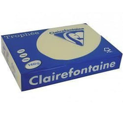 Papier - CLAIREFONTAINE - Trophée A4 - 160g - Couleur Chamois - 250 Feuilles