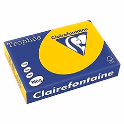 Clairefontaine 1206C, Universel, A4 (210x297 mm), Mat, 250 feuilles, 120 g/m², Jaune