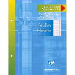 Clairefontaine 1351C, 100 feuilles
