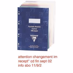 Feuille A4 - CLAIREFONTAINE - Vert - 90g - Étui de 50 - Grand carreaux