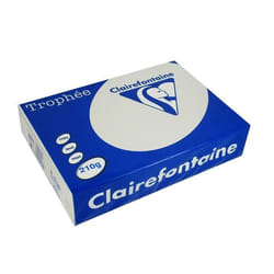 Papier - CLAIREFONTAINE - Ramette 250 Feuilles - 210g - A4 - Certifié FSC - Gris acier