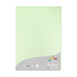 Clairefontaine Pollen papier jet d'encre A4 (210x297 mm) 25 feuilles Vert