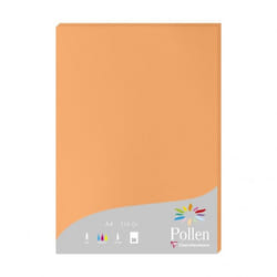Clairefontaine Pollen papier jet d'encre A4 (210x297 mm) 25 feuilles Orange