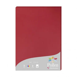 Clairefontaine Pollen papier jet d'encre A4 (210x297 mm) 25 feuilles Rouge