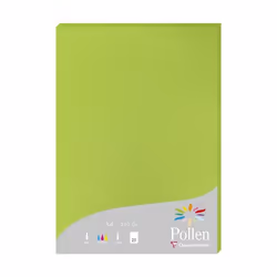 Clairefontaine Pollen, Impression laser/jet d'encre, A4 (210x297 mm), 25 feuilles, 210 g/m², Vert, Forest Stewardship Council ...