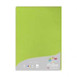 Clairefontaine Pollen papier jet d'encre A4 (210x297 mm) 25 feuilles Vert