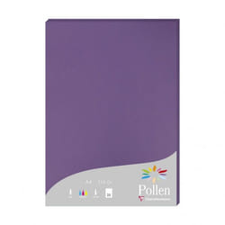Clairefontaine Pollen papier jet d'encre A4 (210x297 mm) 25 feuilles Violet