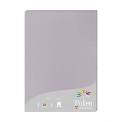Clairefontaine Pollen papier jet d'encre A4 (210x297 mm) 25 feuilles Gris