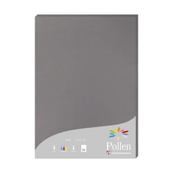 Clairefontaine Pollen papier jet d'encre A4 (210x297 mm) 25 feuilles Gris