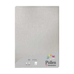 Clairefontaine Pollen papier jet d'encre A4 (210x297 mm) 25 feuilles Argent