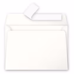 Clairefontaine 5446C, C6 (114 x 162 mm), Blanc, C6 (114 x 162 mm), Papier, 120 g/m², Forest Stewardship Council (FSC)